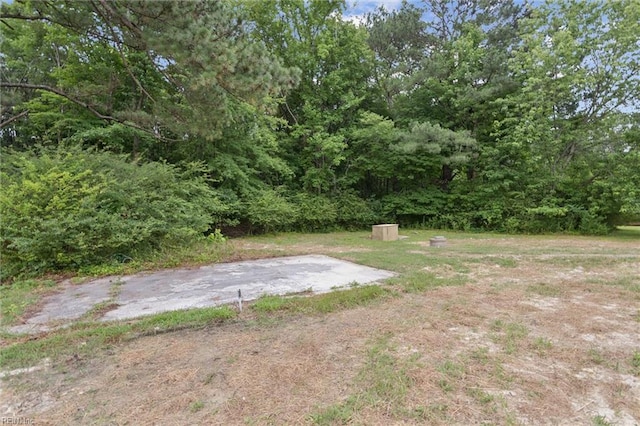 13067 Poor House Rd, Windsor, VA 23487 - view of yard