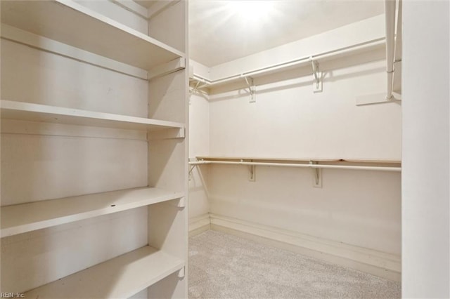 133 Randolphs Grn, Williamsburg, VA 23185 - walk in closet featuring carpet