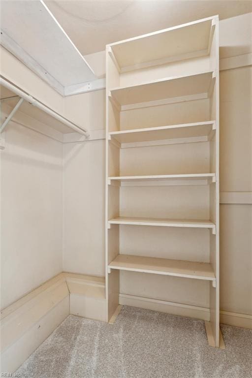133 Randolphs Grn, Williamsburg, VA 23185 - spacious closet with carpet floors