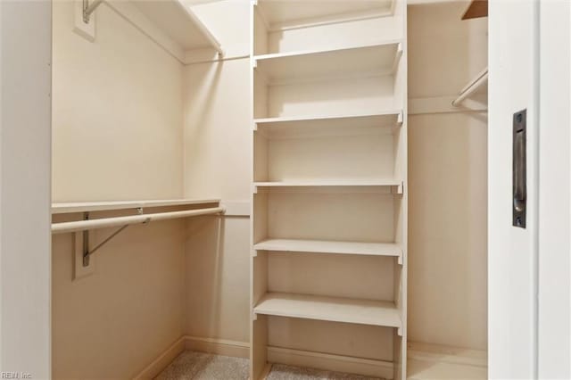 133 Randolphs Grn, Williamsburg, VA 23185 - view of spacious closet