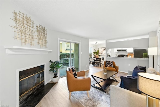 628 Crows Nest Ct Unit 101, Virginia Beach, VA 23462 - living area with wood finished floors and a fireplace with flush hearth