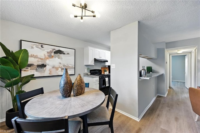 628 Crows Nest Ct Unit 101, Virginia Beach, VA 23462 - dining area with light wood-type flooring and a textured ceiling