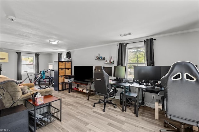 1312 Duncan Ln, Virginia Beach, VA 23455 - home office with ornamental molding, plenty of natural light, and light wood-style floors
