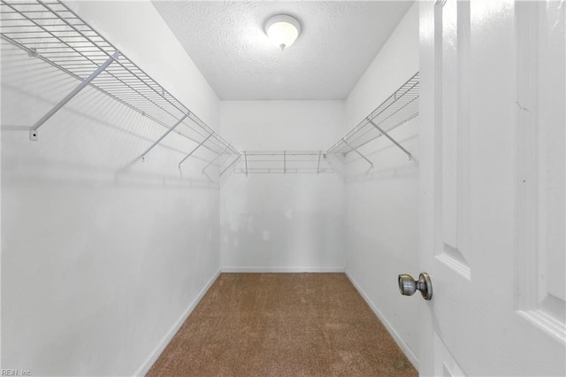 864 Page Pl, Newport News, VA 23608 - walk in closet with carpet flooring