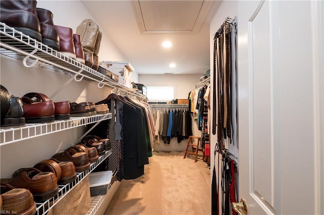 3516 Colmar Quarter Quarter, Norfolk, VA 23509 - spacious closet featuring light colored carpet and attic access