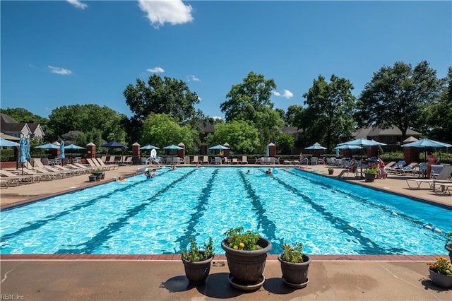 3516 Colmar Quarter Quarter, Norfolk, VA 23509 - community pool featuring a patio area
