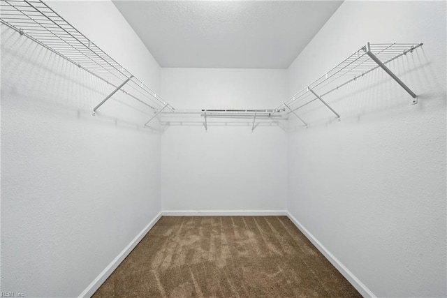 3005 Overbrook Ave, Norfolk, VA 23513 - spacious closet with carpet flooring