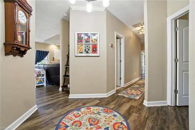 609 Trumpet Ct, Chesapeake, VA 23323 - hall with baseboards and wood finished floors