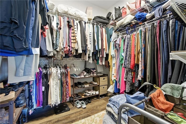 609 Trumpet Ct, Chesapeake, VA 23323 - spacious closet featuring wood finished floors