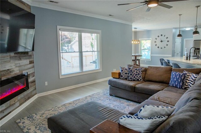 1305 Simms Arch, Chesapeake, VA 23322 - living area with ceiling fan, healthy amount of natural light, wood finished floors, and ornamental molding