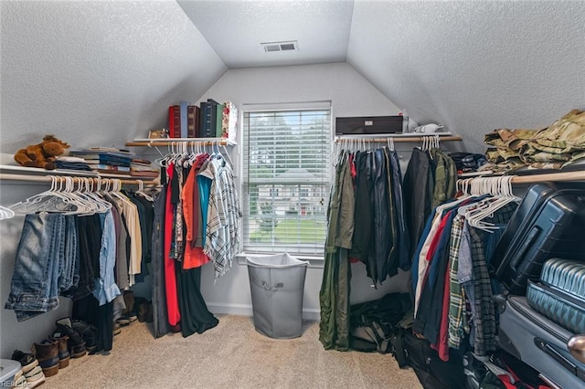 308 Queen Ct, Smithfield, VA 23430 - walk in closet featuring carpet floors and lofted ceiling