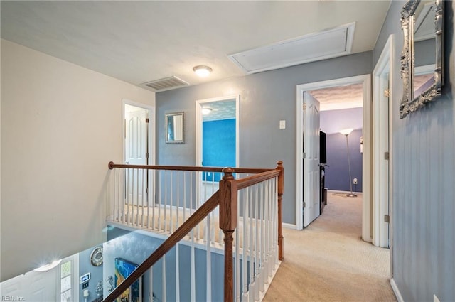 2559 Golden Maple Dr, Suffolk, VA 23434 - hall with attic access, an upstairs landing, and light carpet