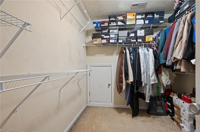 2559 Golden Maple Dr, Suffolk, VA 23434 - walk in closet with carpet floors