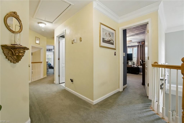 3644 Brannon Dr, Virginia Beach, VA 23456 - hallway with attic access, carpet, an upstairs landing, and ornamental molding