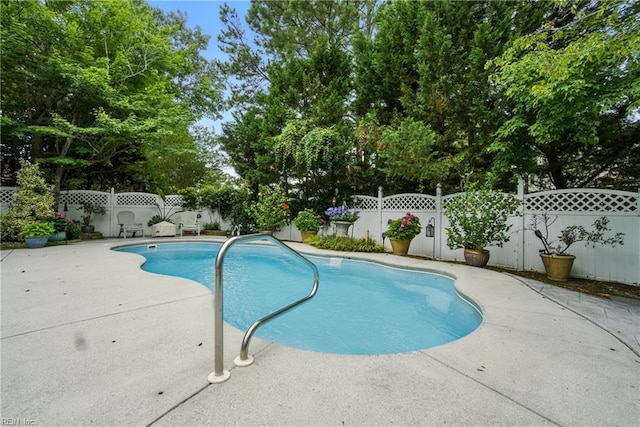 3644 Brannon Dr, Virginia Beach, VA 23456 - view of swimming pool featuring a fenced backyard, a patio, and view of wooded area