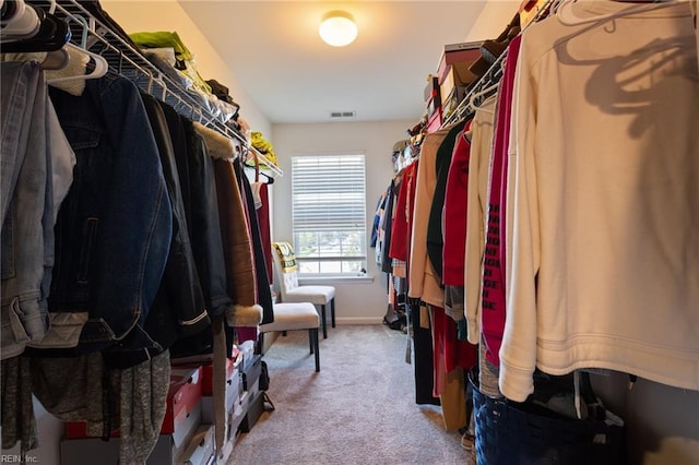 180 Avon Rd, Hampton, VA 23666 - walk in closet with carpet floors