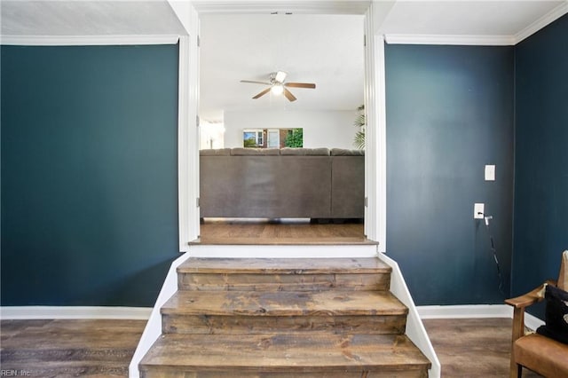 1505 Hawthorne Dr, Chesapeake, VA 23325 - stairs featuring a ceiling fan, wood finished floors, and crown molding