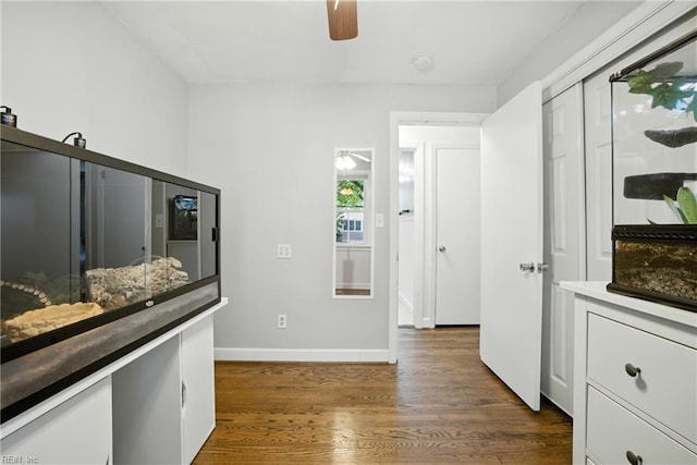 1505 Hawthorne Dr, Chesapeake, VA 23325 - unfurnished bedroom featuring dark wood finished floors, a ceiling fan, and a closet