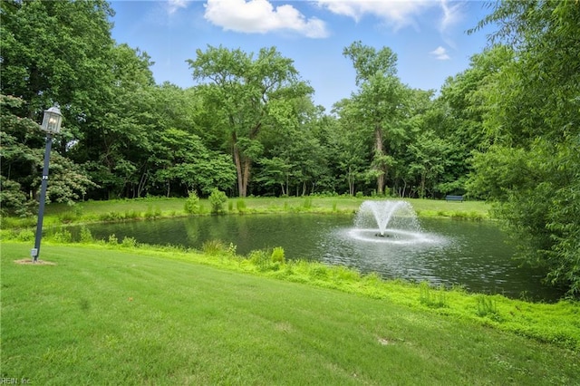 924 Southmoor Dr Unit 204, Virginia Beach, VA 23455 - view of green lawn with a water view