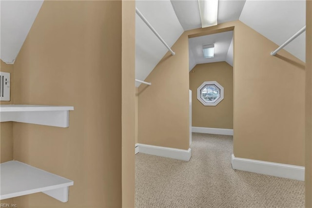 241 Sir Oliver Rd, Norfolk, VA 23505 - walk in closet featuring lofted ceiling and carpet