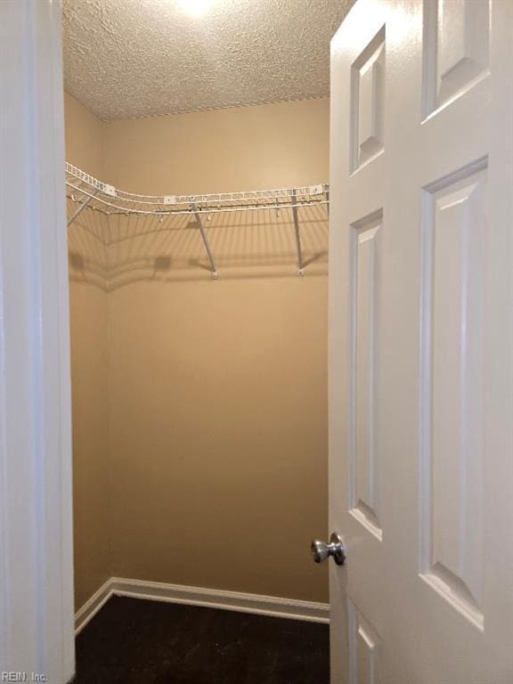 238 Susan Constant Dr, Newport News, VA 23608 - view of spacious closet