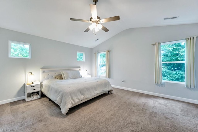 1332 Fishermans Rd, Norfolk, VA 23503 - bedroom with lofted ceiling, carpet, and ceiling fan