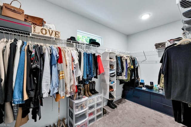 1332 Fishermans Rd, Norfolk, VA 23503 - spacious closet with carpet
