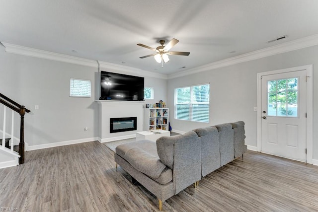 1332 Fishermans Rd, Norfolk, VA 23503 - living room with wood finished floors, ceiling fan, healthy amount of natural light, and ornamental molding
