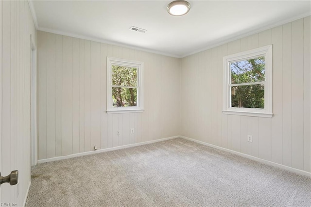 433 Queens Creek Rd, Williamsburg, VA 23185 - carpeted spare room with plenty of natural light
