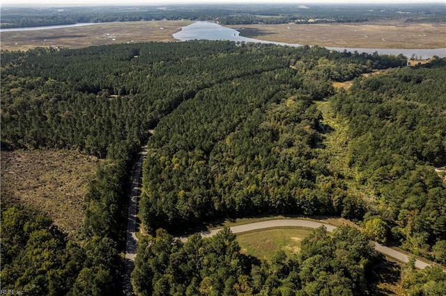 5.1AC Plantation Pl, Little Plymouth, VA 23091