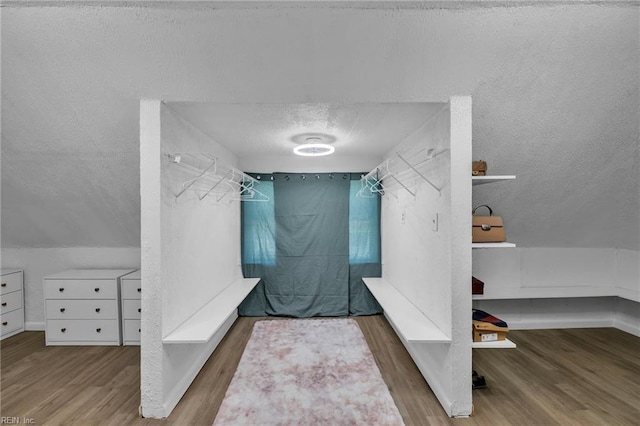 118 Saint James Ave, Suffolk, VA 23434 - walk in closet with wood finished floors