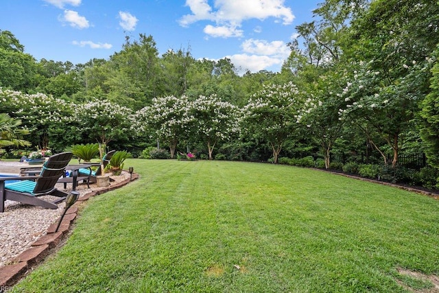 205 Napoli Ct, Chesapeake, VA 23322 - view of green lawn