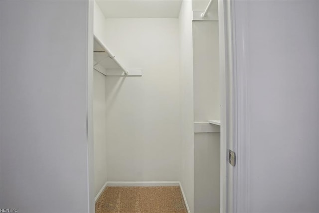 1207 Hazel Ave, Chesapeake, VA 23325 - walk in closet featuring carpet flooring