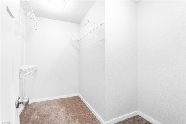 222 Craftsman Cir, Suffolk, VA 23434 - walk in closet featuring carpet flooring