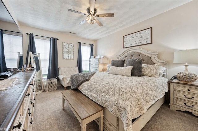 6729 Hampton Roads Pkwy Unit D, Suffolk, VA 23435 - bedroom with carpet and ceiling fan