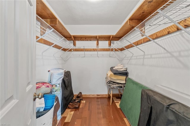 3419 Filly Run, Chesapeake, VA 23323 - walk in closet with wood finished floors