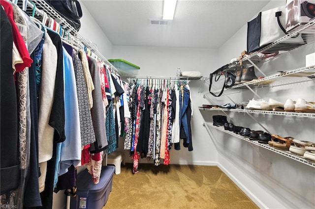 2152 Benomi Dr, Williamsburg, VA 23185 - spacious closet featuring carpet flooring