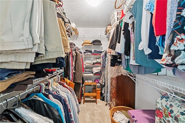 3921 Cromwell Ln, Williamsburg, VA 23188