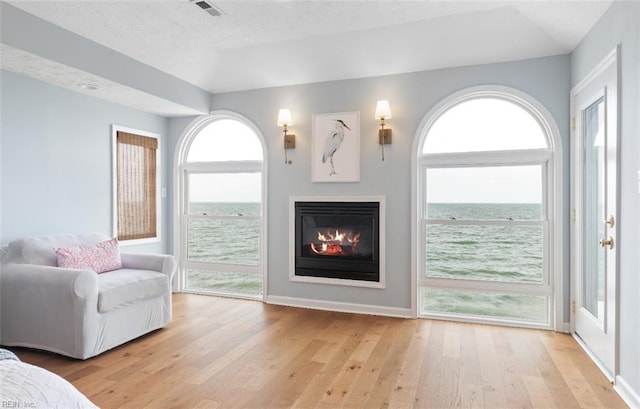 119 Grand View Dr, Hampton, VA 23664 - living room featuring light wood-style floors, a glass covered fireplace, healthy amount of natural light, lofted ceiling, and a water view