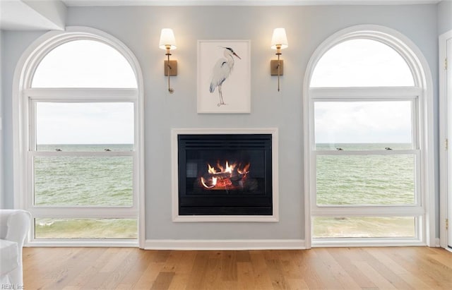 119 Grand View Dr, Hampton, VA 23664 - detailed view of wood finished floors and a warm lit fireplace