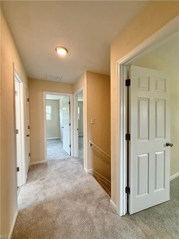 3909 Old Tree Ln, Virginia Beach, VA 23452 - hall with carpet and baseboards