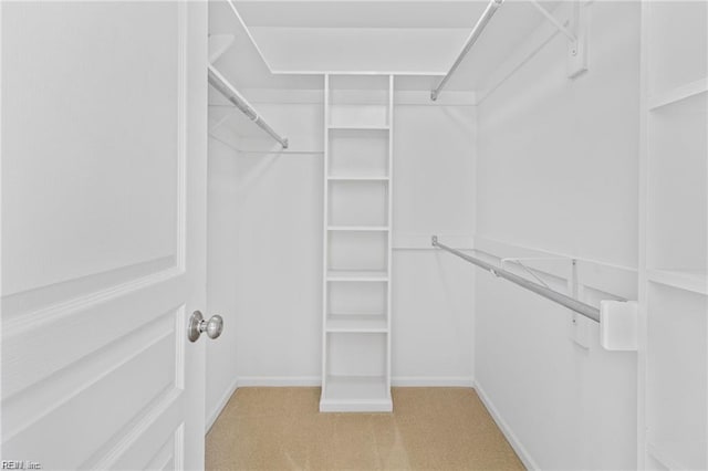 1439 Otterbourne Cir, Chesapeake, VA 23320 - walk in closet featuring carpet