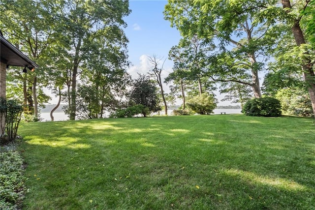 525 Pagan Rd, Smithfield, VA 23430 - view of grassy yard