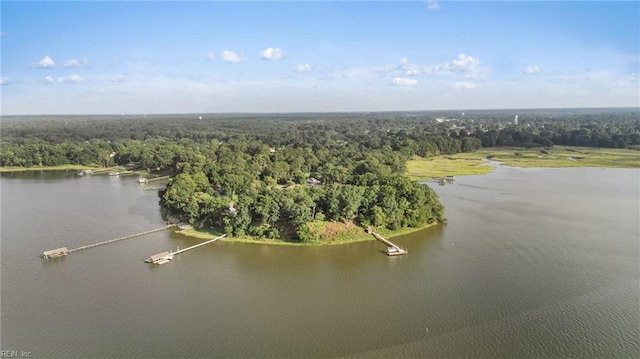 525 Pagan Rd, Smithfield, VA 23430 - bird's eye view of a heavily wooded area and a large body of water