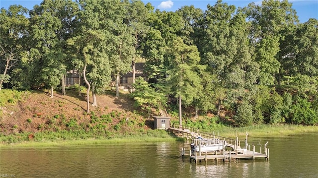 525 Pagan Rd, Smithfield, VA 23430 - dock with a water view