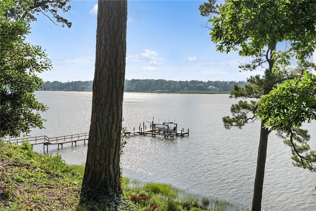525 Pagan Rd, Smithfield, VA 23430 - water view featuring a boat dock