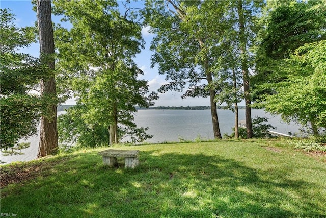 525 Pagan Rd, Smithfield, VA 23430 - water view