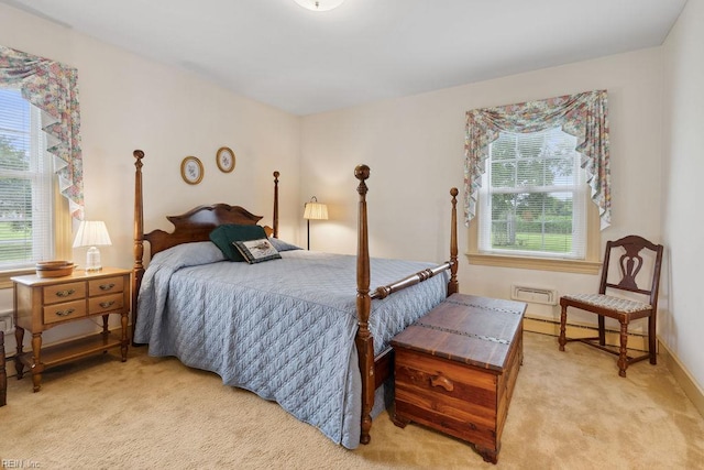 32391 S Main St, Boykins, VA 23827 - bedroom featuring light colored carpet and multiple windows