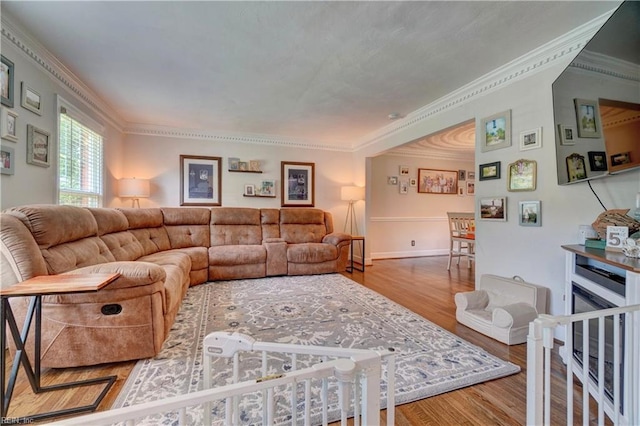 2816 Ashwood Dr, Chesapeake, VA 23321 - living room featuring wood finished floors and crown molding