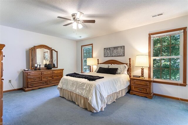 13 Fawn Cir, Hampton, VA 23666 - bedroom featuring carpet floors, multiple windows, a ceiling fan, and a textured ceiling